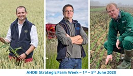 Strategic Cereal Farm West – Harvest 2020 Trials Summer Update Videos